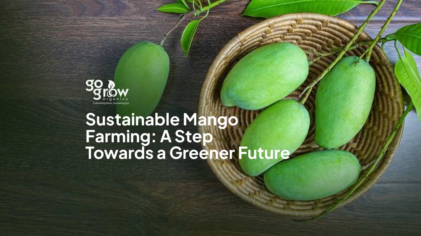 Sustainable Mango Farming: A Step Towards a Greener Future