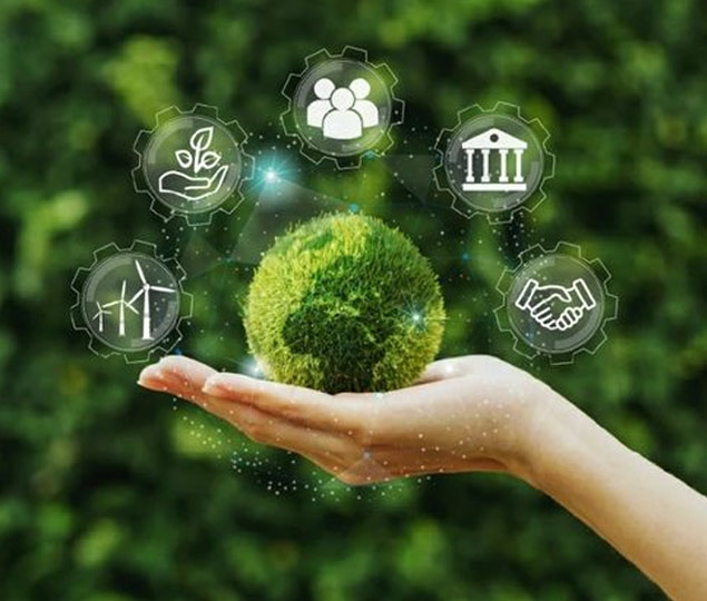 Environmental Impact
