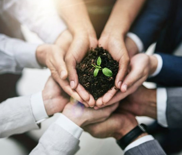 Social Impact